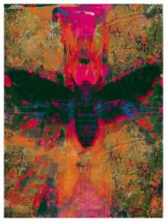 Death Moth Collage, 2016 (Collage on Paper) | Obraz na stenu