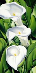 Lilies (oil on canvas) | Obraz na stenu