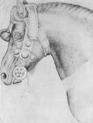 Head of a horse, from the The Vallardi Album (pen & ink on paper) (b/w photo) | Obraz na stenu