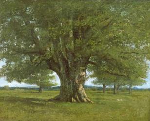 The Oak of Flagey, called Vercingetorix | Obraz na stenu