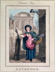 Lavender, Temple Bar, from 'Cries of London', pub. by Richard Phillips (1778-1851) 1804 (engraving) | Obraz na stenu