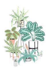 Houseplants Portrait | Obraz na stenu