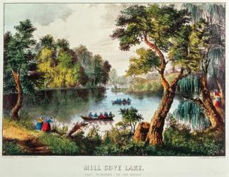 Mill Cove Lake (colour litho) | Obraz na stenu