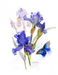 Iris with blue butterfly, 2016, (watercolor) | Obraz na stenu