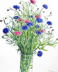 Cornflowers (watercolour on paper) | Obraz na stenu