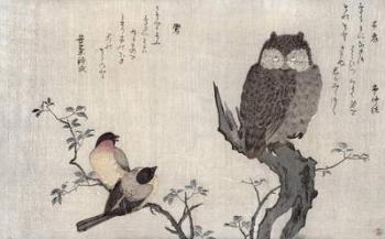 An Owl and two Eastern Bullfinches, from an album 'Birds compared in Humorous Songs, Contest of Poetry of the 100 and 1000 birds', 1791 (colour woodblock print) | Obraz na stenu