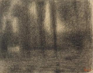Poplars, c.1883-4 (conte crayon on michalett paper) | Obraz na stenu