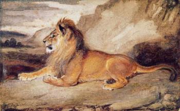 Lion Resting (w/c & gouache on paper) | Obraz na stenu