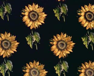 Velours au Sabre: silk decoration of Sunflowers by Maison Ogier and Duplan, Lyon 1894 (textile) | Obraz na stenu