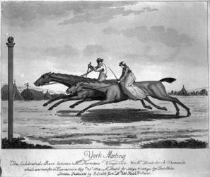 York Meeting, The Celebrated Race between Mr. Thornton's 'Vingarillo' and Mr. Flint's 'Thornville', August 25th 1804 (etching) | Obraz na stenu