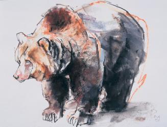 European Brown Bear, 2001 (charcoal & conte on paper) | Obraz na stenu
