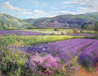 Lavender Fields in Old Provence (oil on canvas) | Obraz na stenu