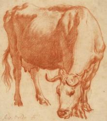 A cow grazing, c.1663 (Red chalk drawing) | Obraz na stenu