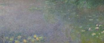 Waterlilies: Morning, 1914-18 (centre right section) | Obraz na stenu