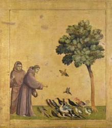 St. Francis of Assisi preaching to the birds (oil on panel) | Obraz na stenu