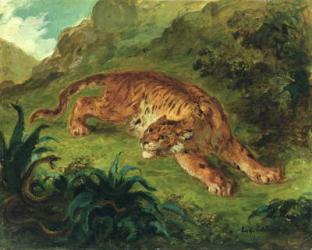 Tiger and Snake, 1858 (oil on paper mounted on panel) | Obraz na stenu