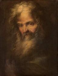 Bearded prophet (oil on canvas) | Obraz na stenu