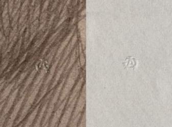 Dry stamp of Adolphe Giraudon, A G, Recto and Verso, detail from the portrait of Leonce Benedite, 1899 (see also 414597) | Obraz na stenu