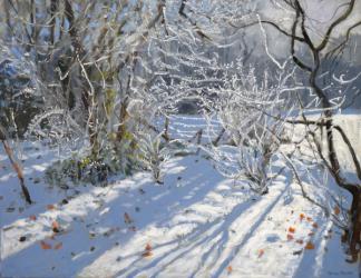 Hoar Frost, 2011 (oil on canvas) | Obraz na stenu