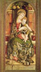 Virgin and Child, 1482 (oil on panel) | Obraz na stenu