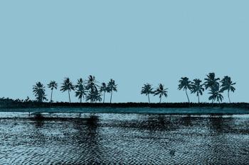 Palms on a Clear Day, 2017 (photograph) | Obraz na stenu