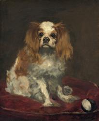 A King Charles Spaniel, c.1866 (oil on linen) | Obraz na stenu