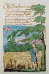 The Shepherd, from Songs of Innocence, 1789 (coloured etching) | Obraz na stenu