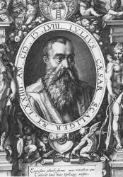Julius Caesar Scaliger (engraving) | Obraz na stenu