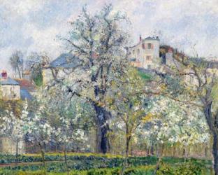 The Vegetable Garden with Trees in Blossom, Spring, Pontoise, 1877 (oil on canvas) | Obraz na stenu