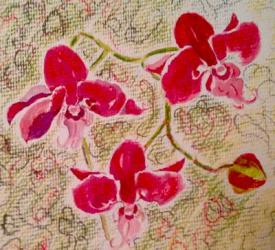 orchids | Obraz na stenu