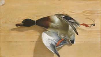 A duck on a pine board, 1753 (oil on canvas) | Obraz na stenu