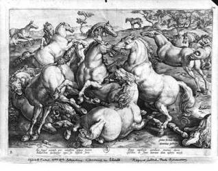 Horses in the wild (engraving) (b/w photo) | Obraz na stenu