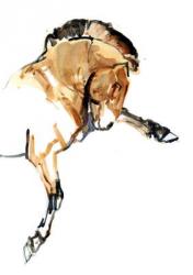 Stallion (Przewalski), 2013 (sennelier ink, watercolour and gouache) | Obraz na stenu