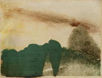 Forest in the Mountains, c.1890 (monotype on paper) | Obraz na stenu