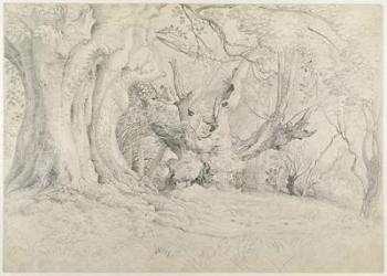 Ancient Trees, Lullingstone Park, 1828 (graphite on paper) | Obraz na stenu