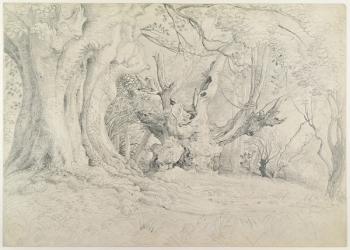 Ancient Trees, Lullingstone Park, 1828 (graphite on paper) | Obraz na stenu