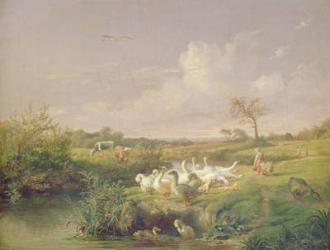 Geese Grazing, 1854 (oil on canvas) | Obraz na stenu