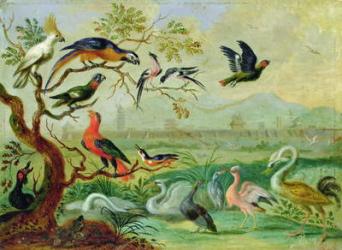 Birds from the Four continents in a landscape with a view of Peking in the background (oil on copper) | Obraz na stenu