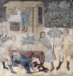 The Drunkenness of Noah, 1356-67 (fresco) | Obraz na stenu