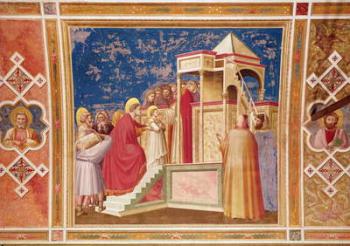 The Presentation of the Virgin at the Temple, c.1305 (fresco) | Obraz na stenu