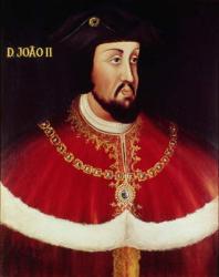 Portrait of John II of Portugal (1455-95) (panel) | Obraz na stenu