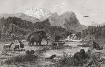 Pliocene Landscape (engraving) | Obraz na stenu