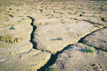 Dried and cracked ground when water supply at low level, Zahara - el Gastor reservoir, Cadiz Province, Andalusia, Southern Spain (photo) | Obraz na stenu