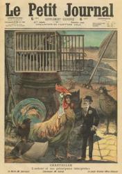'Chantecler', the author Edmond Rostand and his main actors, illustration from 'Le Petit Journal', supplement illustre, 30th January 1910 (colour litho) | Obraz na stenu
