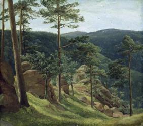 View of Mount Brocken, 1829 (oil on paper on board) | Obraz na stenu
