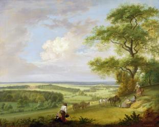 Hackwood Park, Hampshire (oil on canvas) | Obraz na stenu