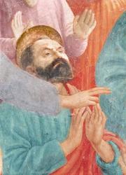 The head of St. Paul, from the Raising of the Son of Theophilus, and St. Peter Enthroned as First Bishop of Antioch, c.1427 and c.1484-85 (fresco) (detail of 63302) | Obraz na stenu