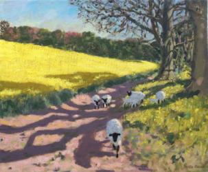 Sheep and yellow field,2017,(oil on canvas) | Obraz na stenu