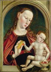 Mary and the Infant Christ, 1510 (oil on panel) | Obraz na stenu