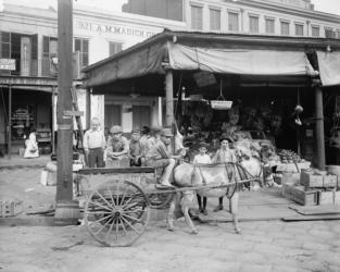 New Orleans, a corner of the French Market, c.1900-10 (b/w photo) | Obraz na stenu